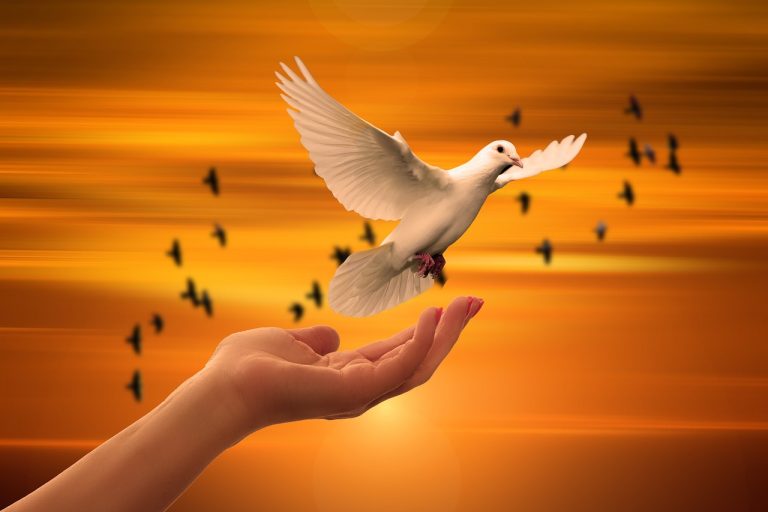 explore the importance of trust in relationships, business, and personal growth. discover how building and maintaining trust can lead to stronger connections and greater success in various aspects of life.