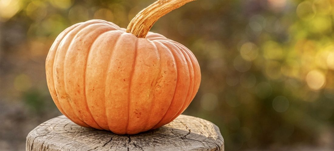 explore the fascinating world of seasonal variations, uncovering how changes in weather, light, and temperature influence nature, ecosystems, and human activities throughout the year.