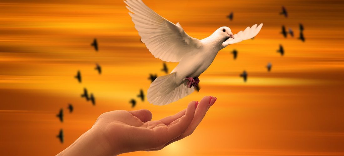explore the importance of trust in relationships, business, and personal growth. discover how building and maintaining trust can lead to stronger connections and greater success in various aspects of life.